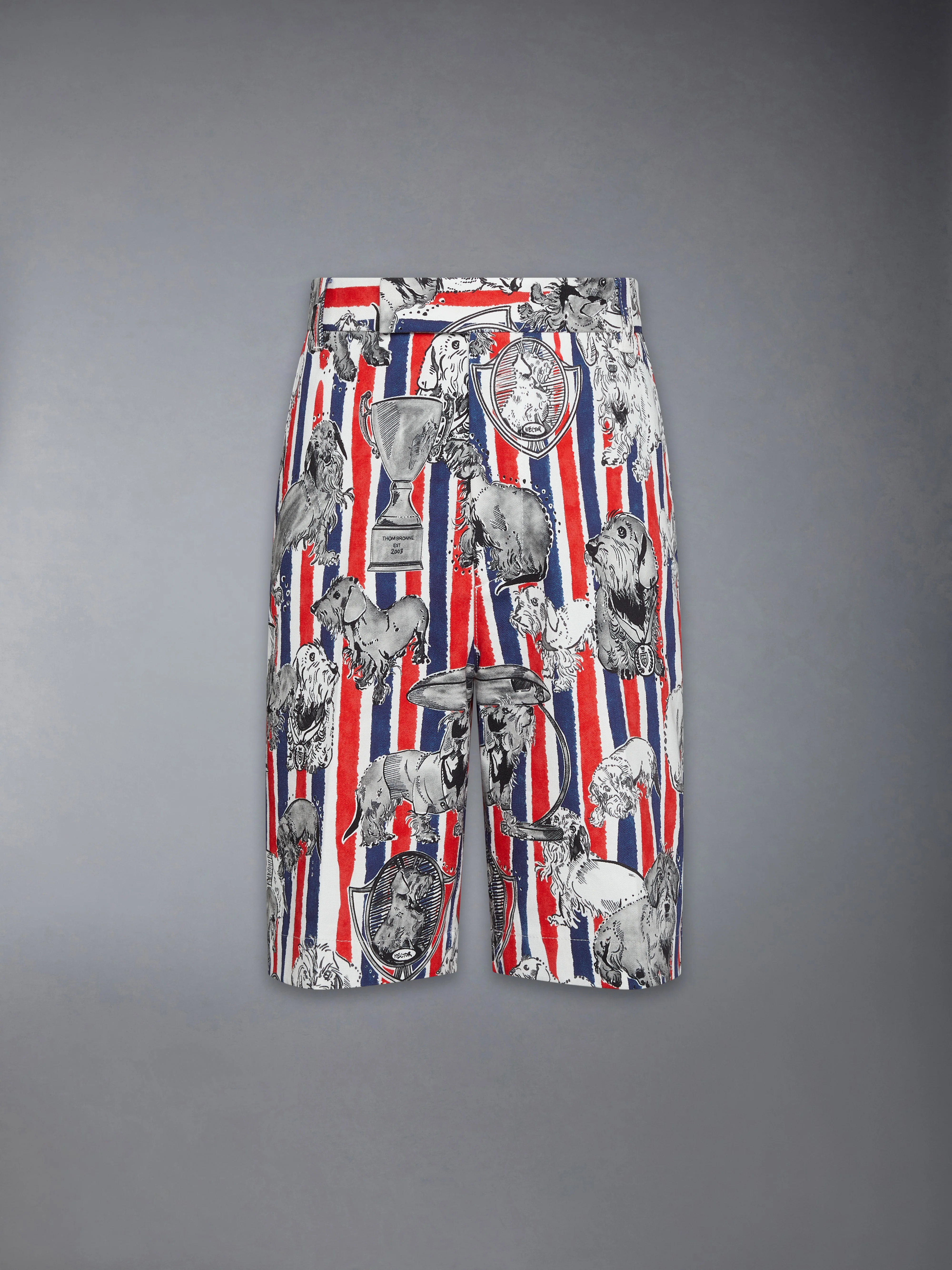 CANVAS HECTOR UTILITY CHINO SHORTS - Image 5