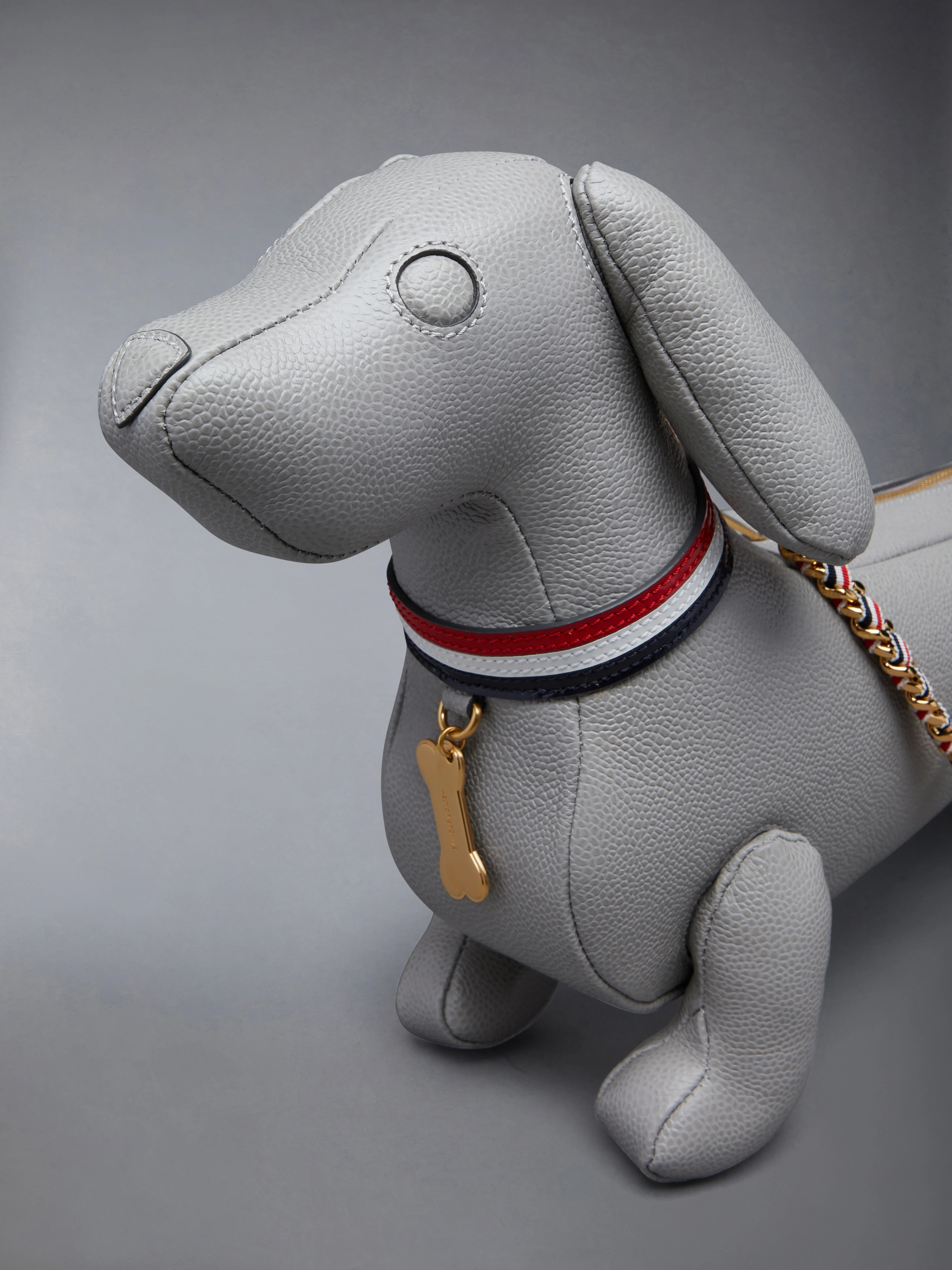 MINI HECTOR CHAIN BAG IN PEBBLE GRAIN - Image 6