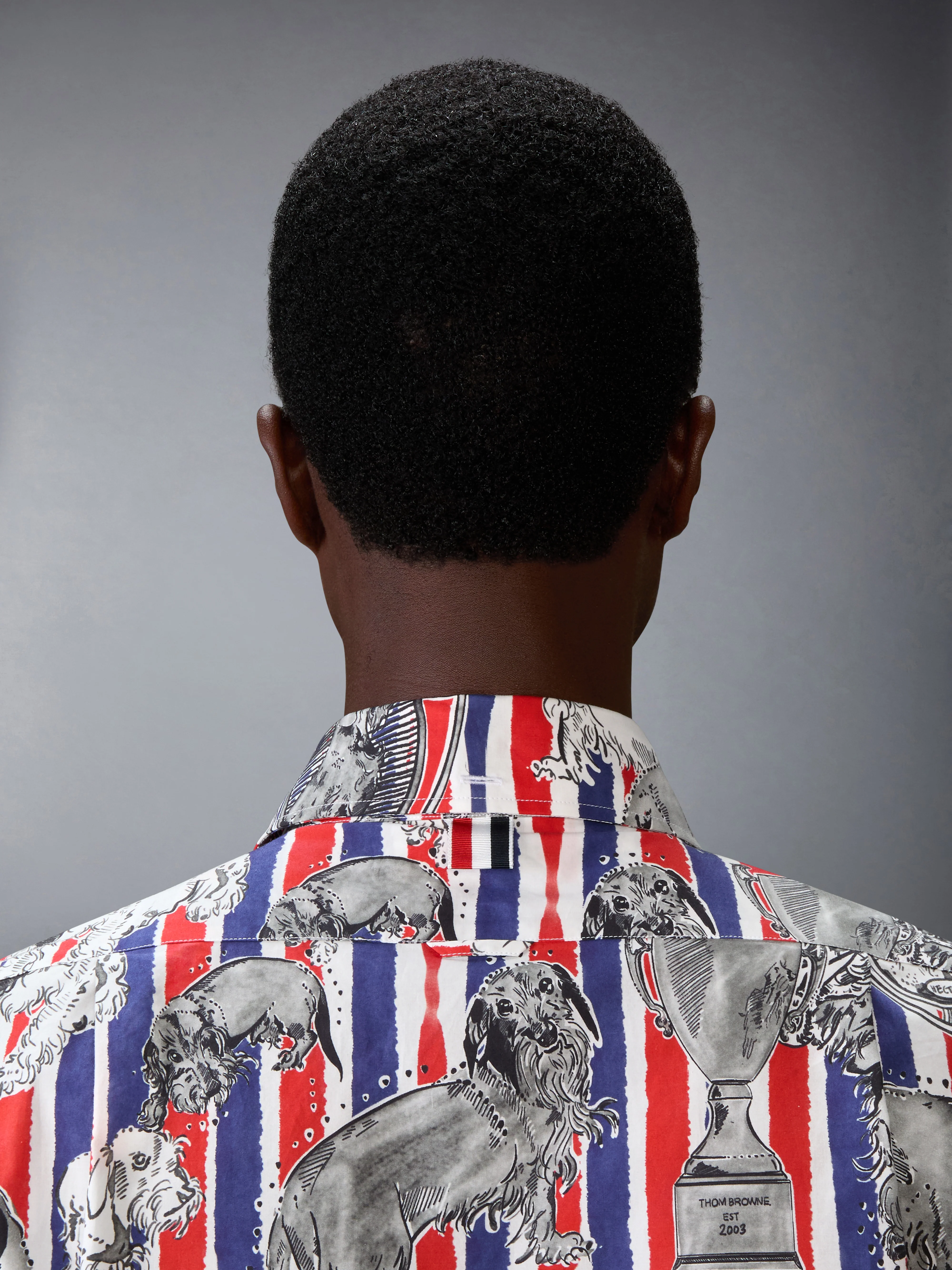 POPLIN HECTOR TOILE SHIRT - Image 6