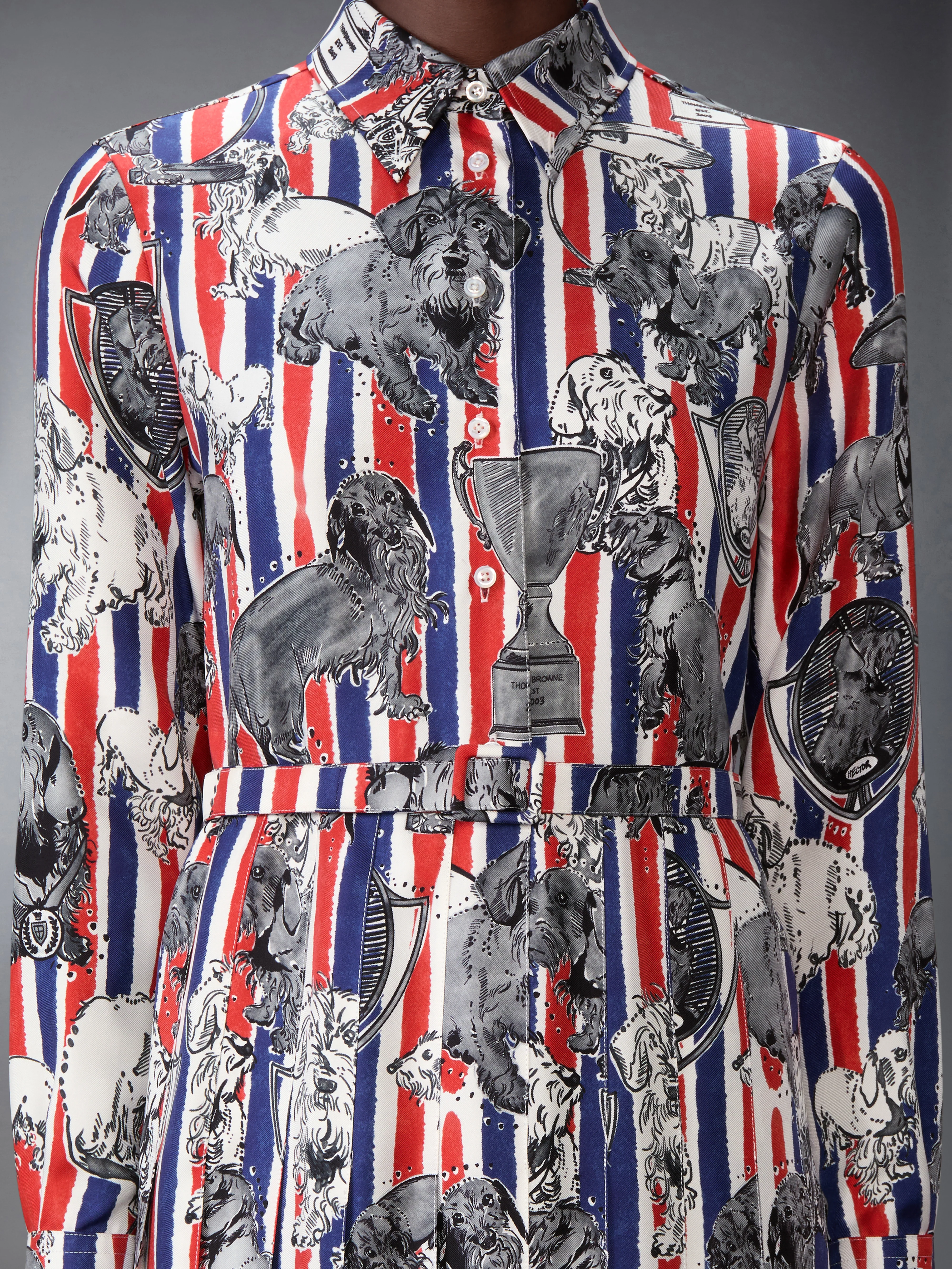 SILK TWILL HECTOR PLEATED DRESS - Image 6